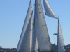 2005-limfjorden-0117